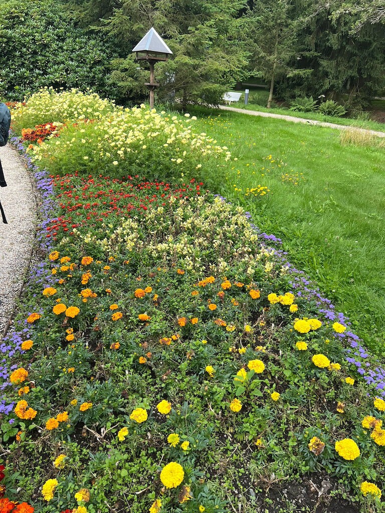 Weitere Blumen in den Farben gelb, orange und rot.