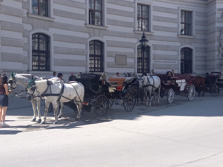 Die Pferde und ihre Wagen vor der Hofburg.