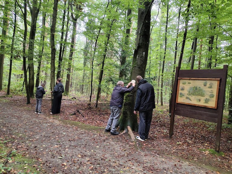 Die Schüler und Teilnehmer bringen ein Salzteifgesicht am Baum an.