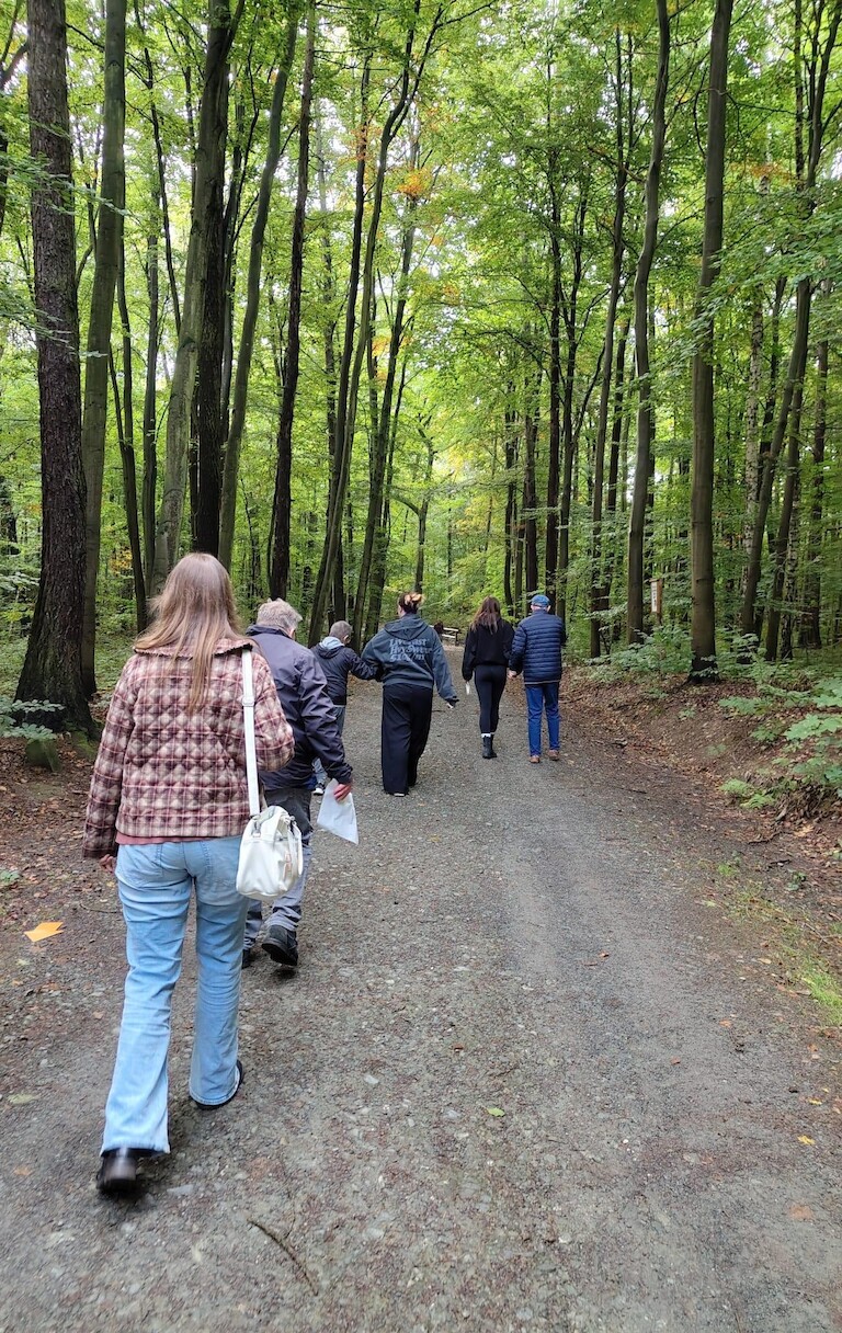 Die Schülerinnen, Schüler und Teilnehmer laufen auf einem Forstweg durch den Wald.