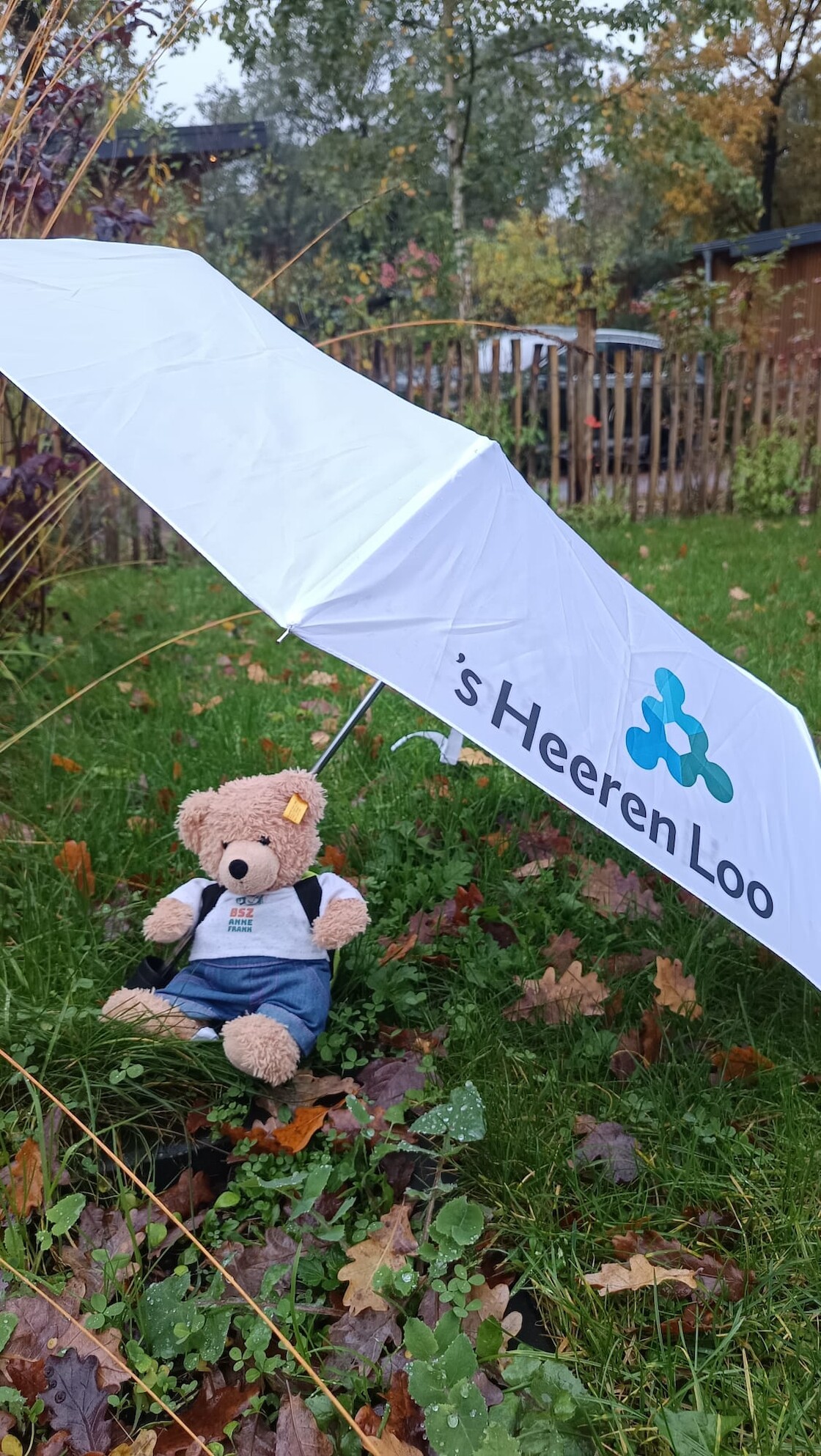 Der Schulbär unter einem Regenschirm.