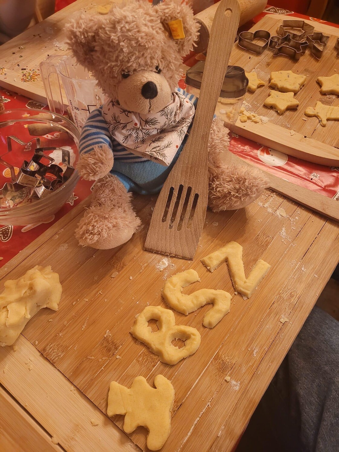 Unser Bär mit BSZ Plätzchen.