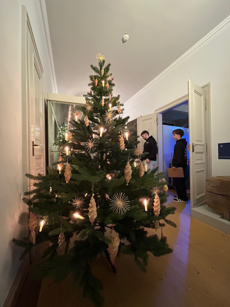 Eine geschmückter Weihnachtsbaum