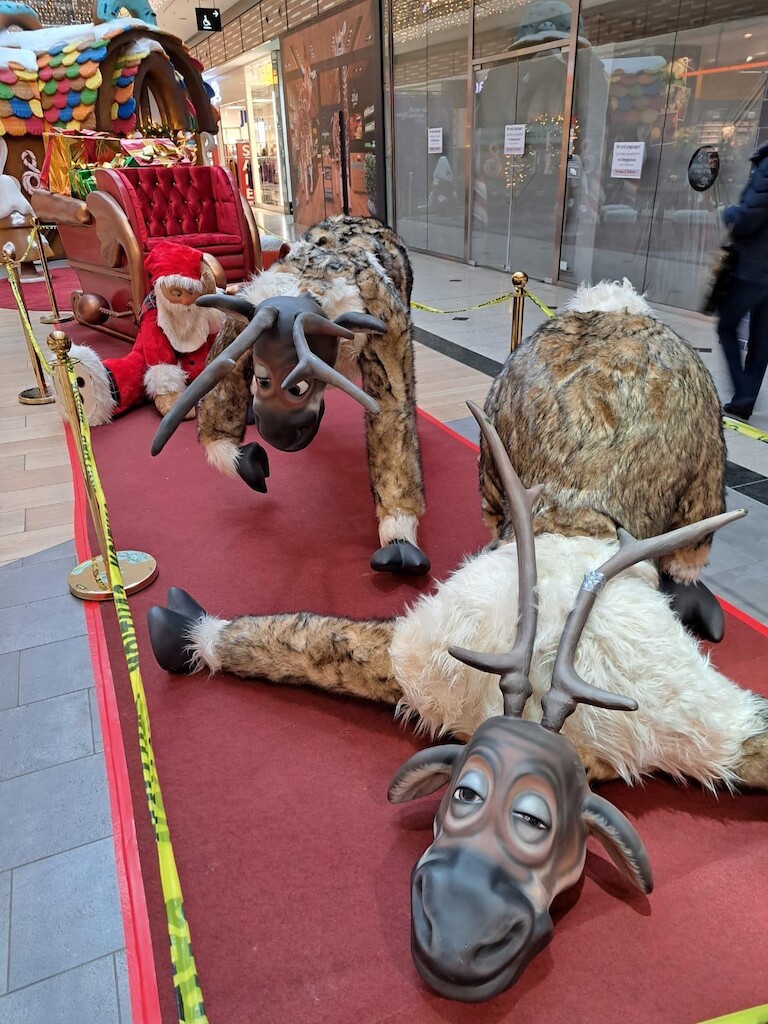 Dekoration in der Stadtgalerie - Rentier.