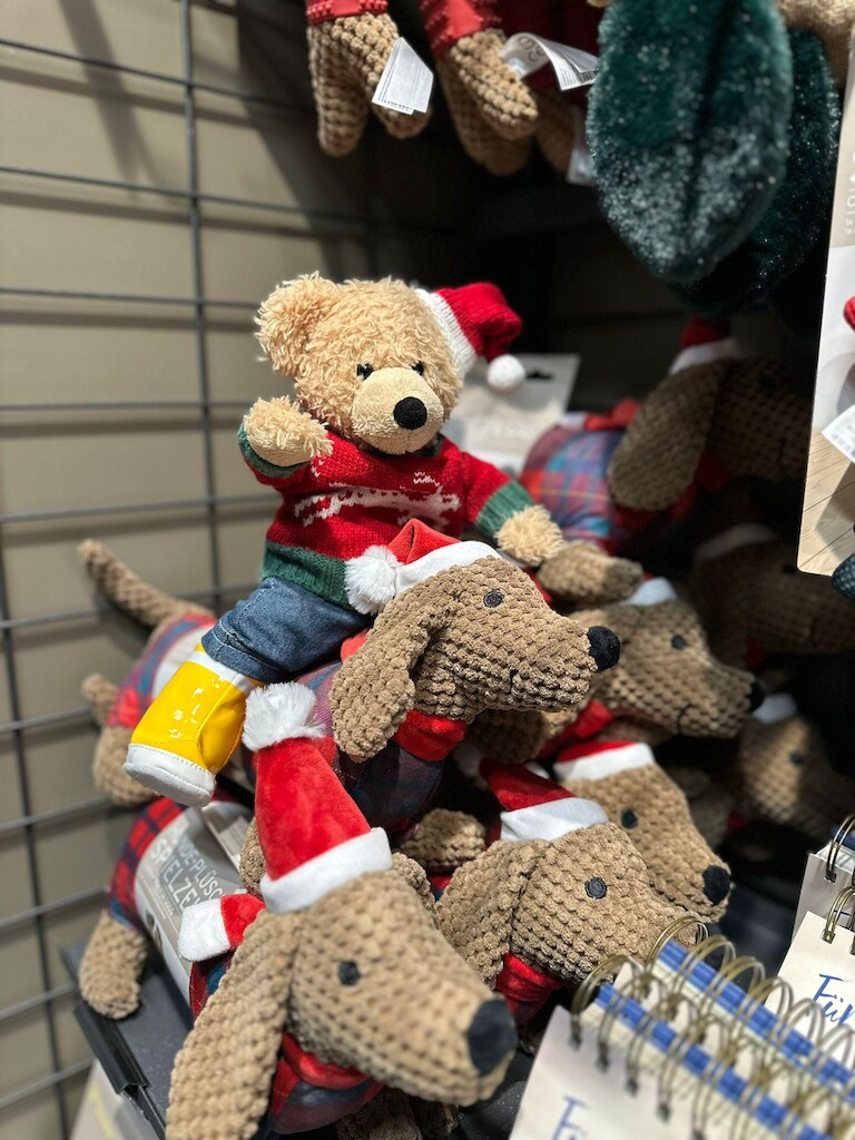 Unser Bär auf Kuscheltieren.