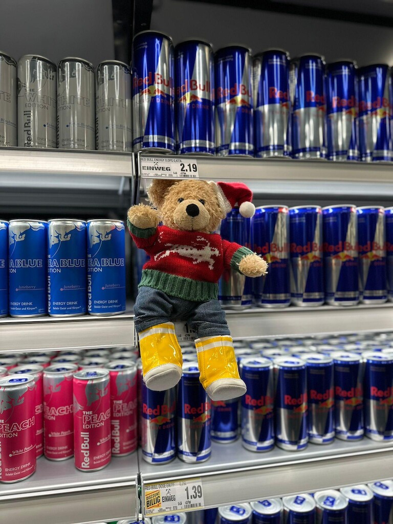 Unser Bär vor Energydrinsk.