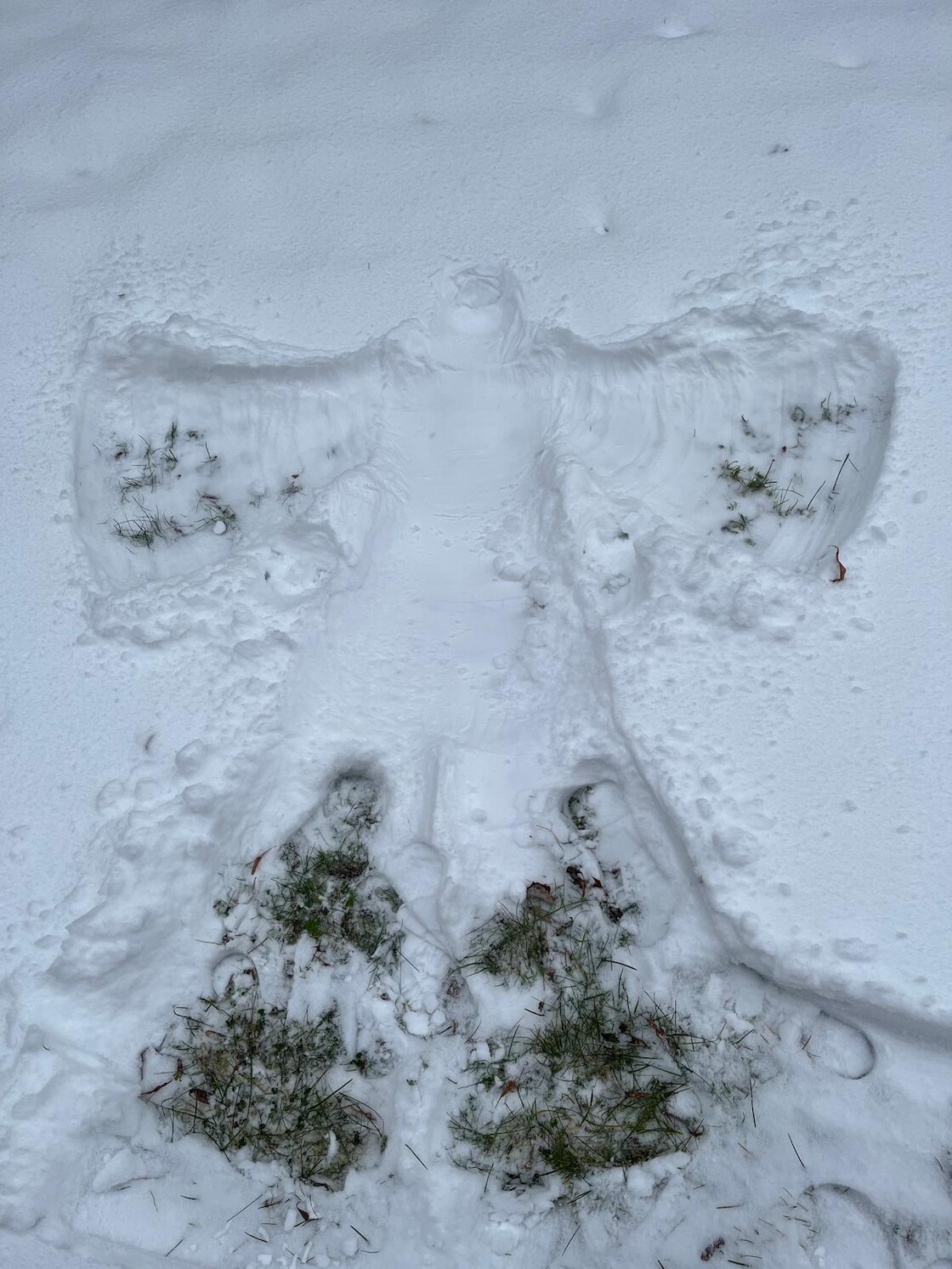 Der fertige Schneeengel.