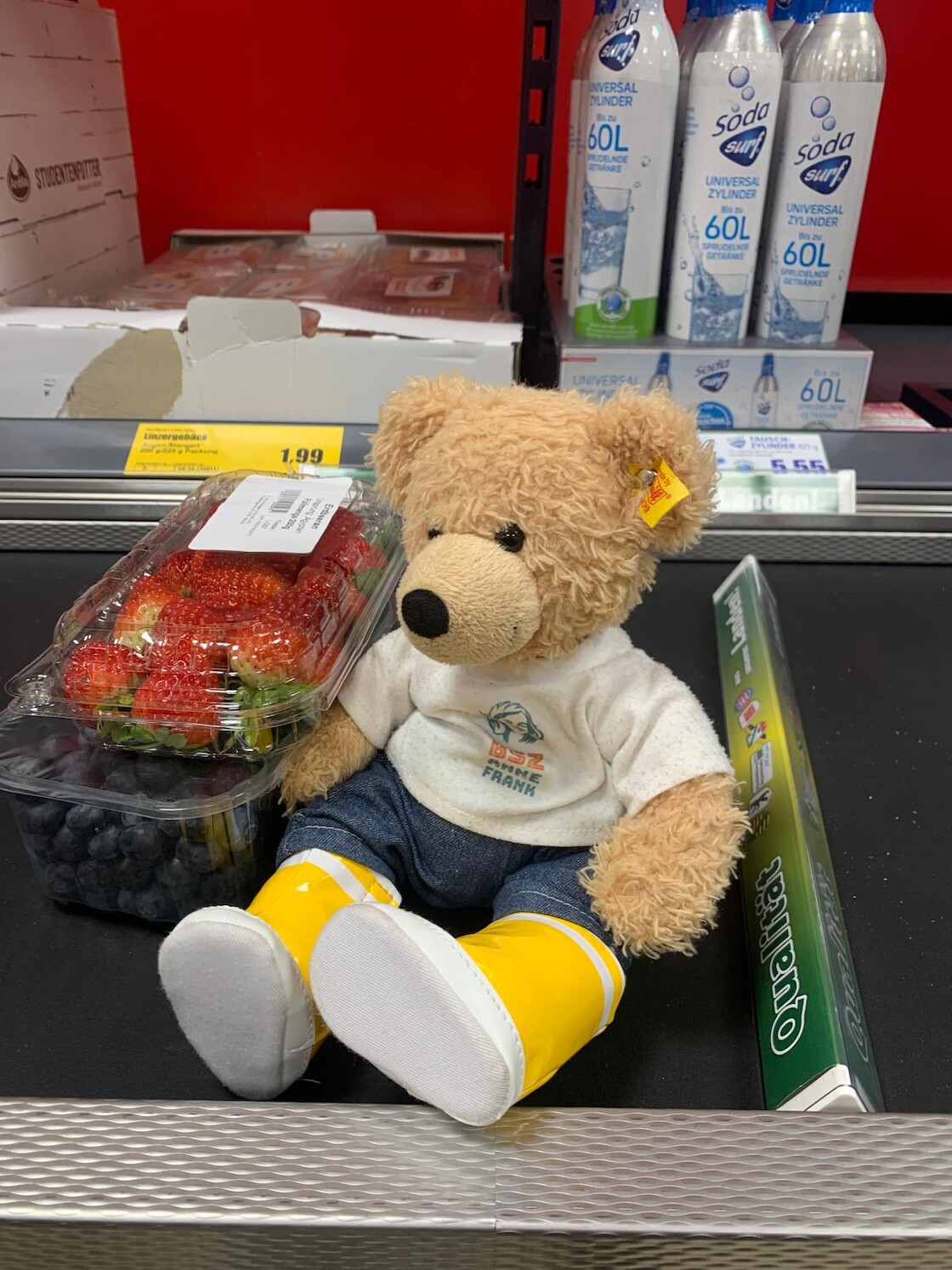 Unser Bär auf dem Kassenband.