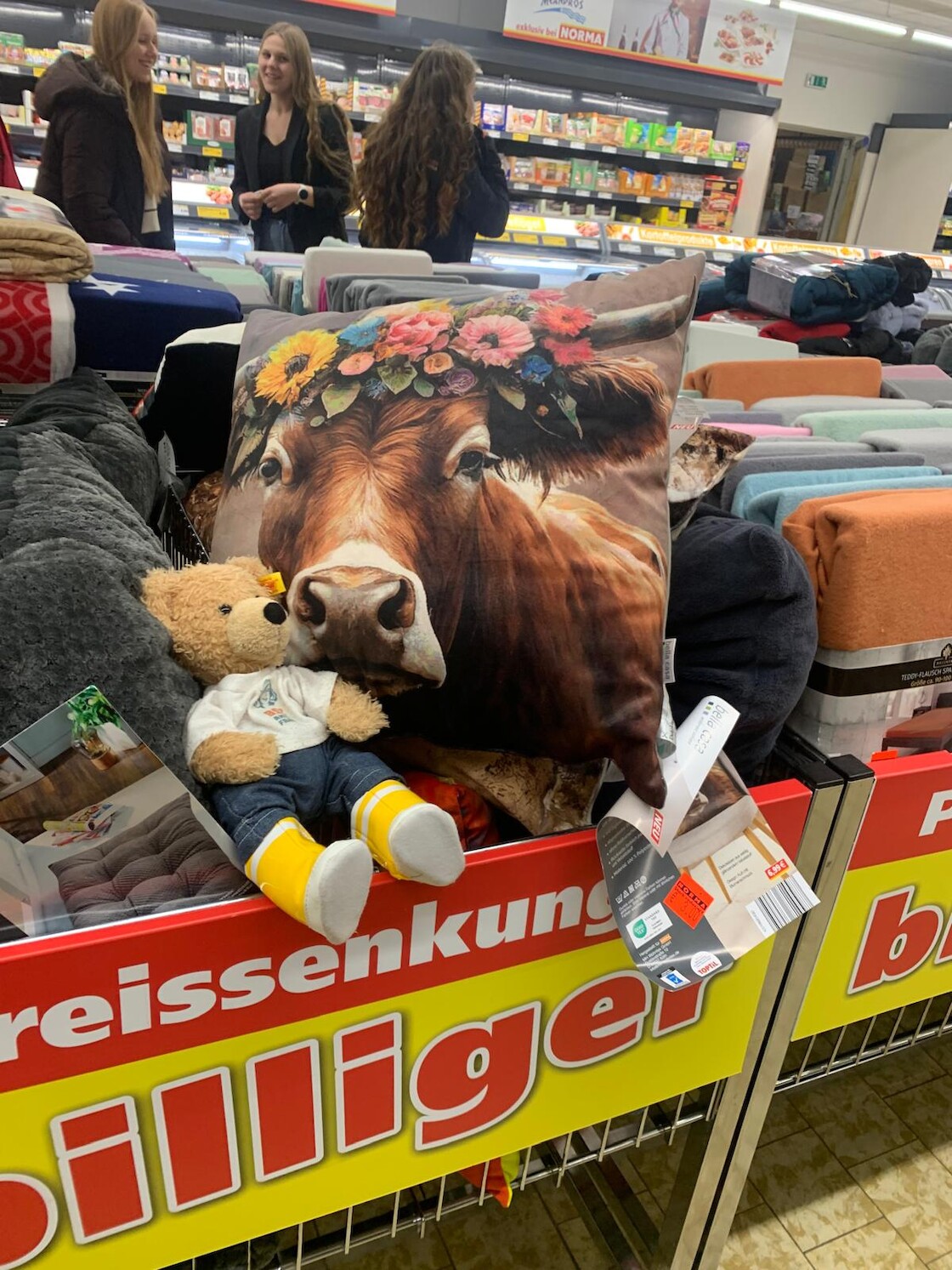 Unser Bär neben einem Kuhkissen.