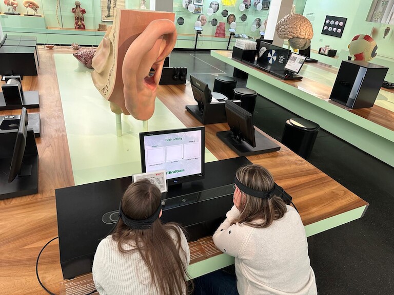 Am Bildschirm im Hygienemuseum.