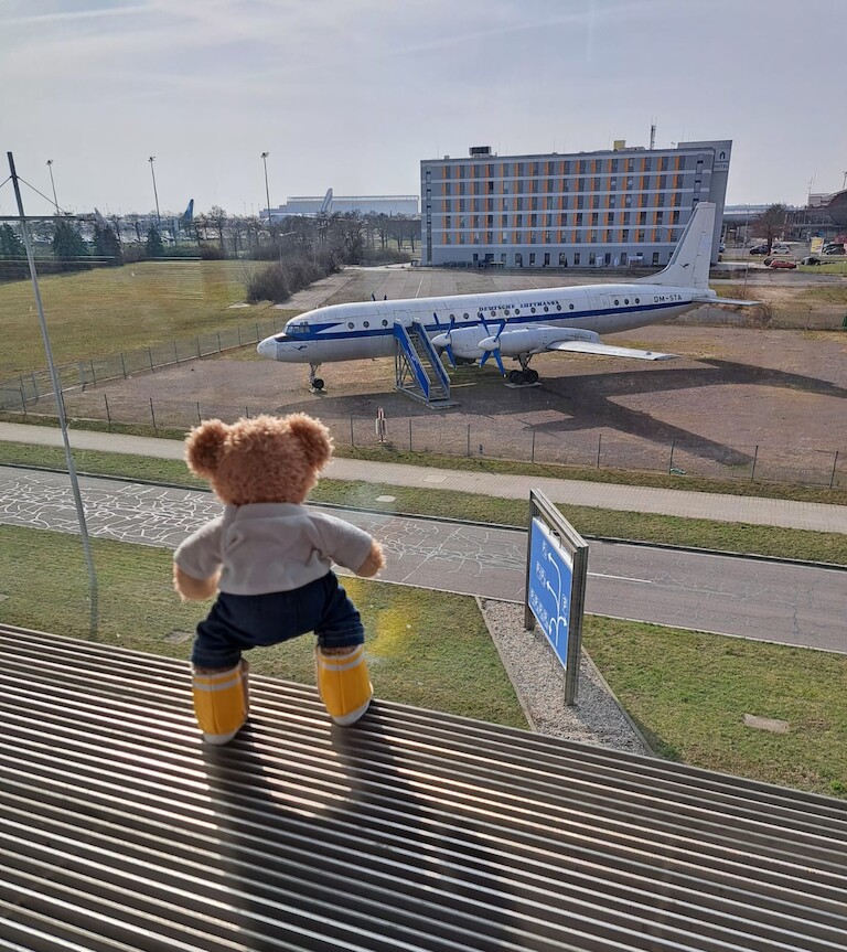 Unser bär mit Blick auf den Flughafen.