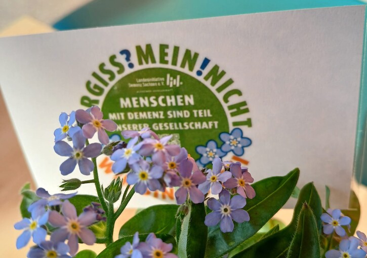 Die Pflanze mit der Karte als Erinnerung an Demenz.