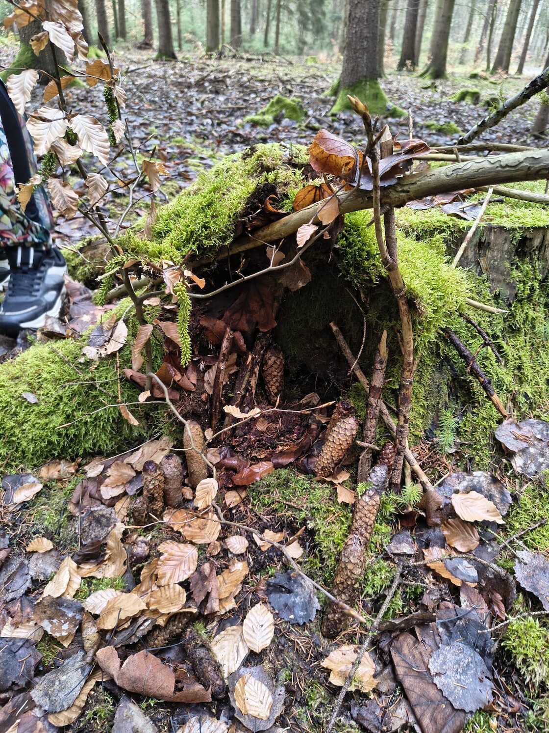 Eine Feenhütte, gebaut aus Stöcken, Moos und Zapfen