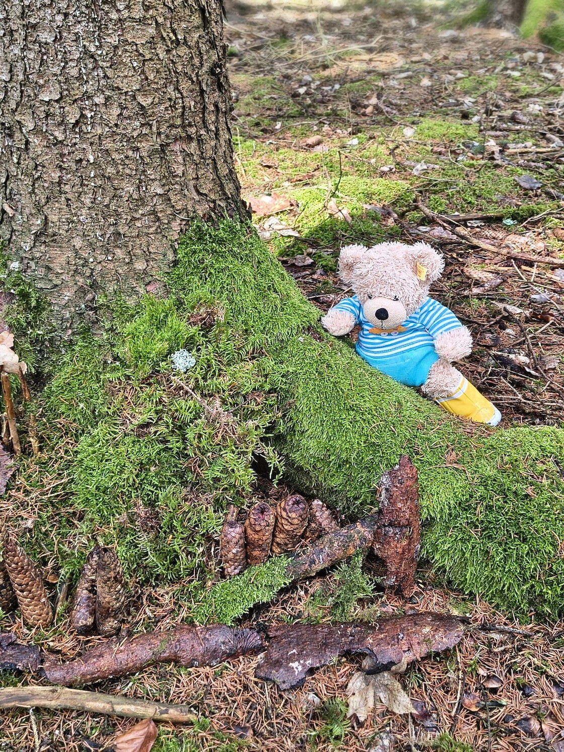 Eine Feenhütte, gebaut aus Stöcken, Moos und Zapfen