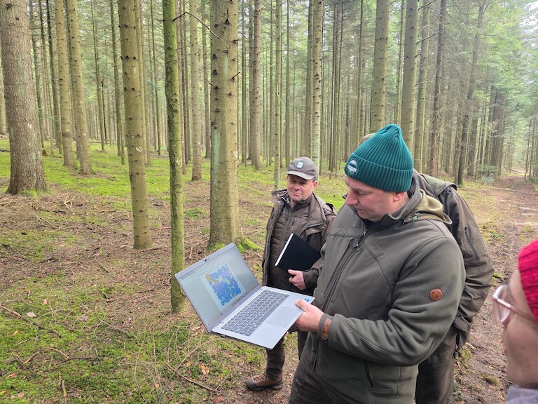 Im Wald werden Aspekte auf dem Laptop gezeigt.