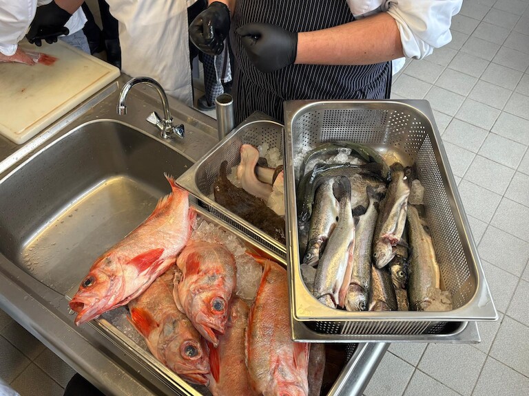 Fisch für die Zubereitung.
