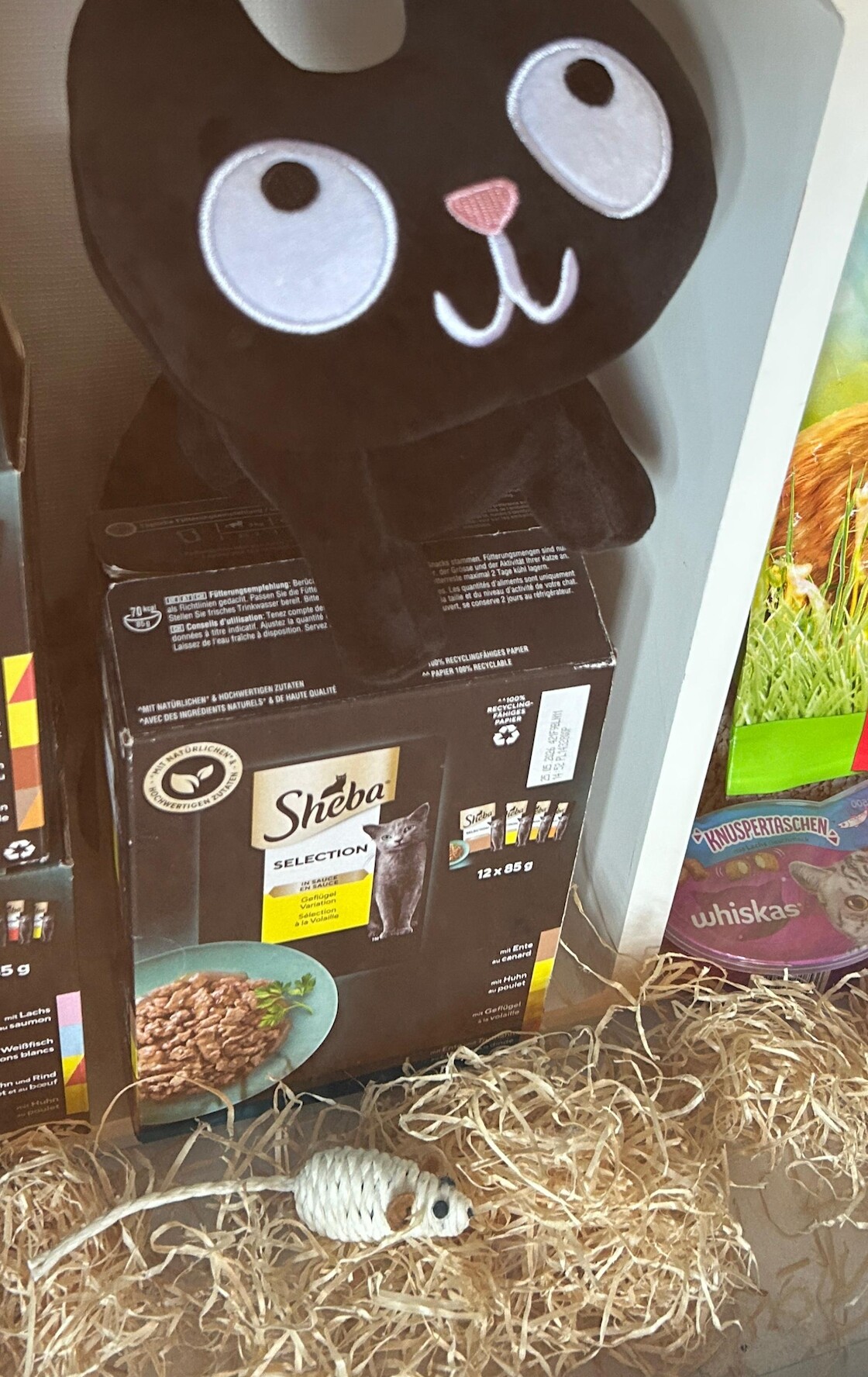 Katze und Maus