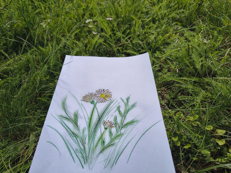 Bild einer Blume