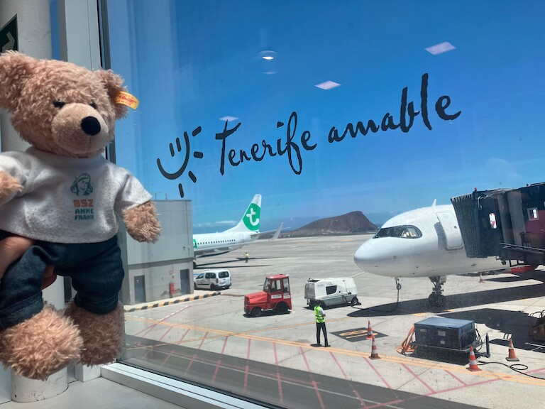 Unser Bär am Fenster mit Blick auf das Flugzeug.