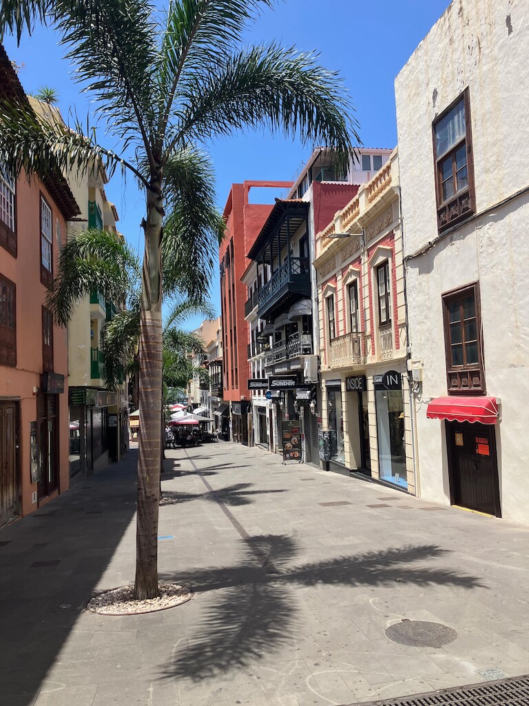 Ein Gasse mit Palmen